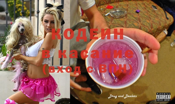 ГАЛЛЮЦИНОГЕННЫЕ ГРИБЫ Абаза