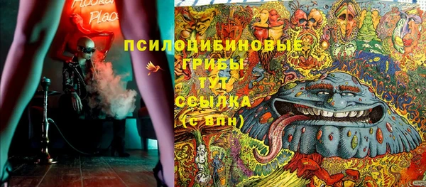 ГАЛЛЮЦИНОГЕННЫЕ ГРИБЫ Абаза