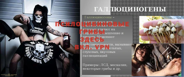 героин Алексин