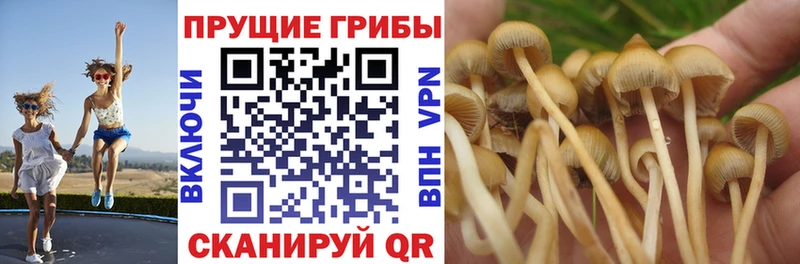 Галлюциногенные грибы MAGIC MUSHROOMS Красково